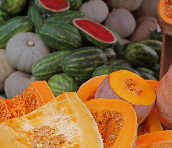 התפתחו מפירות כה מרים ורעילים, שרק פילים היו יכולים לאכול אותם, היום הם מתקתקים. דלועים | צילום: Shutterstock