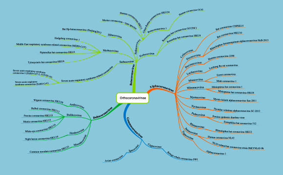 הטקסונומיה והשושלות האבולוציוניות של נגיף הקורונה החדש. בטורקיז, משמאל למטה, וריאנט דלתא "המפורסם" | Shutterstock, Zita