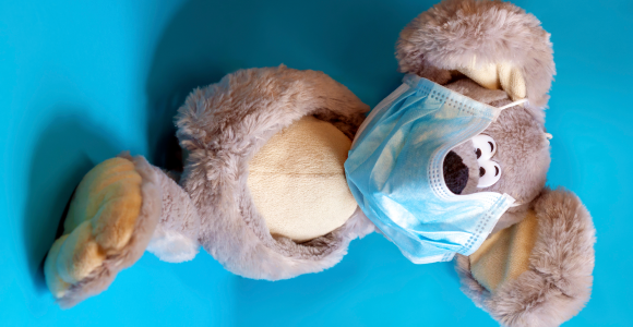 תמונה של בובת קואלה עם רגל אחת | Yanapav, Shutterstock