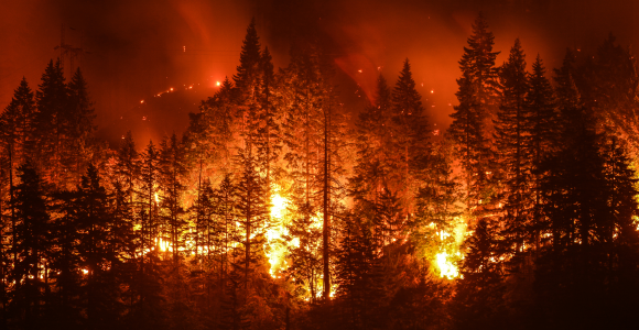 שריפה במערב ארצות הברית | Christian Roberts-Olsen, Shutterstock