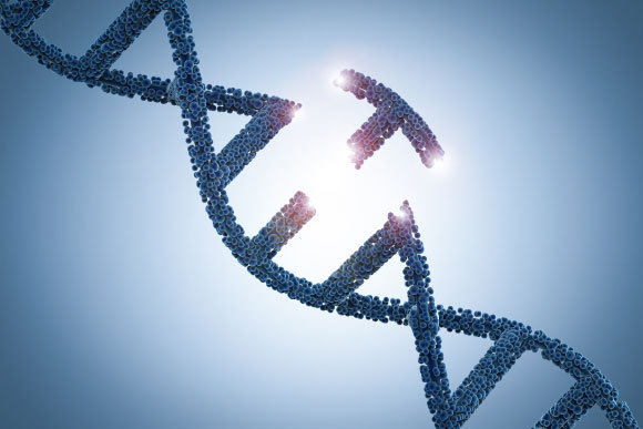 מקטע DNA עם מוטציה | Phonlamai Photo, Shutterstock