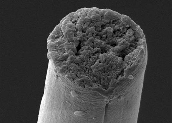 סיב משי שיוצר בשיטה ביו-סינתטית | Christopher Bowen