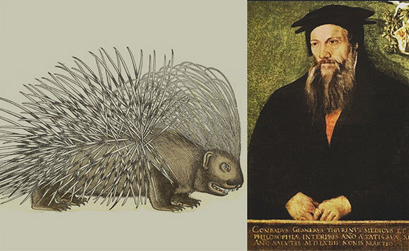 קונרד גסנר בתמונה מאת טוביאס סטימר, 1564 | מוויקיפדיה, נחלת הכלל