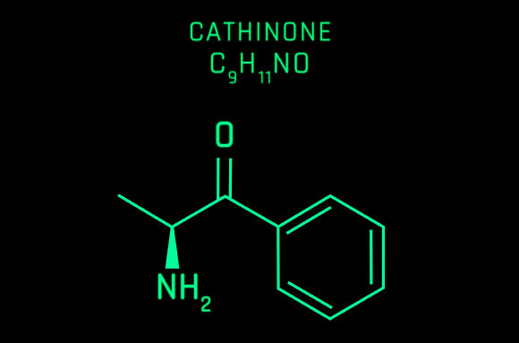 מולקולת הקאתינון | hermanthos, Shutterstock