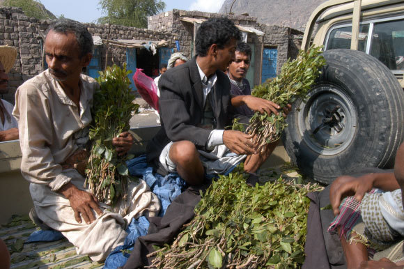 גברים סוחרים בגת בשוק בתימן | danielecolombo, Shutterstock