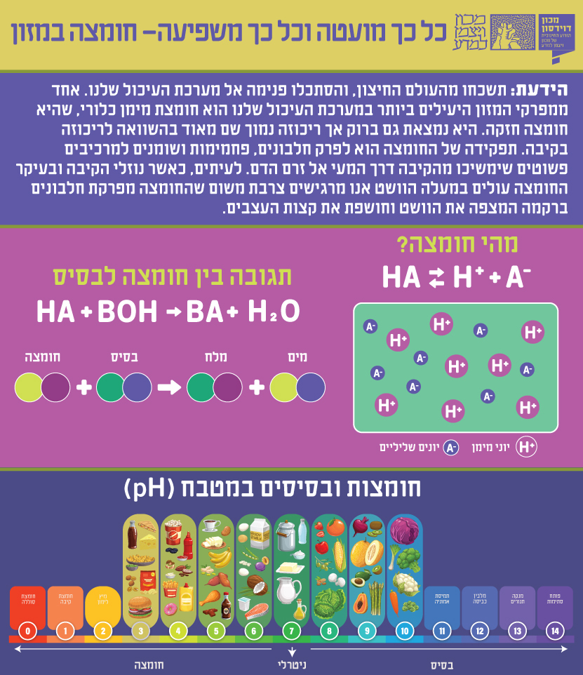 אינפוגרפיקה