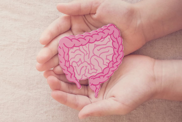  SewCream, Shutterstock