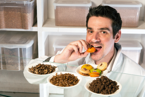 מדען מחברה המגדלת חרקים למאכל אדם טועם עוגיות מקרון עשויות חרקים | Philippe Psaila, Science PhotoLibrary