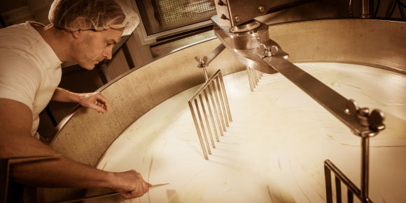 ייצור גבינה בשיטה מסורתית | צילום: FreeProd33, Shutterstock