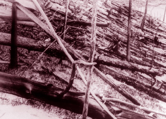 גל ההדף שיטח יותר מ-80 מיליון עצים. צילום של אזור הפיצוץ בשנת 1910 | מקור: SPUTNIK / SCIENCE PHOTO LIBRARY