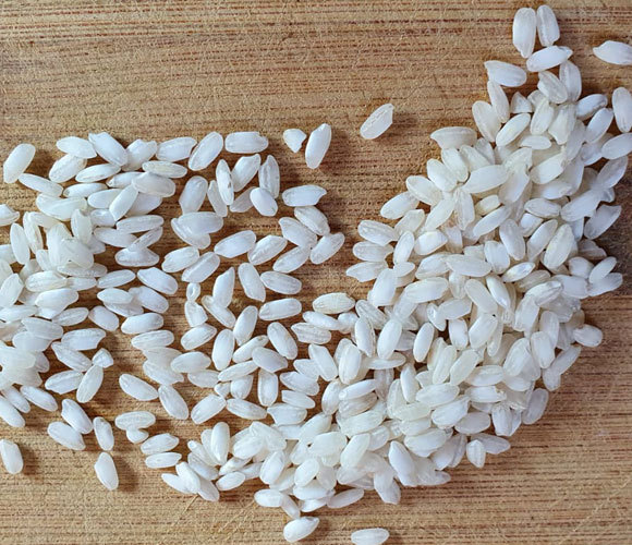  אורז בינוני המתאים לריזוטו | צילום: ד"ר דפנה מנדלר