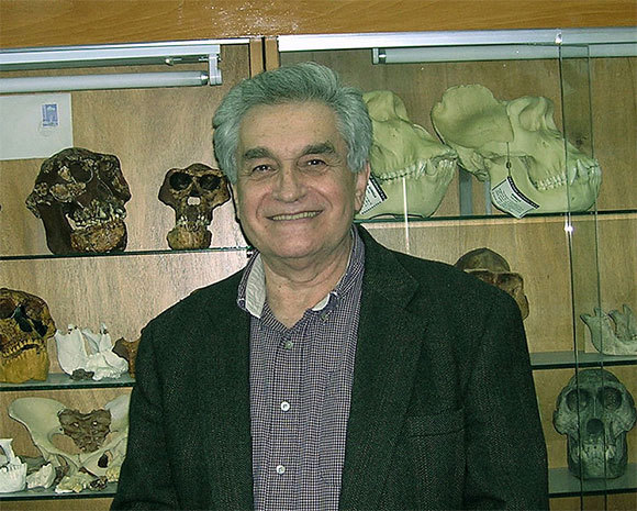 פרופסור יואל רק | ויקיפדיה, צחי לרנר