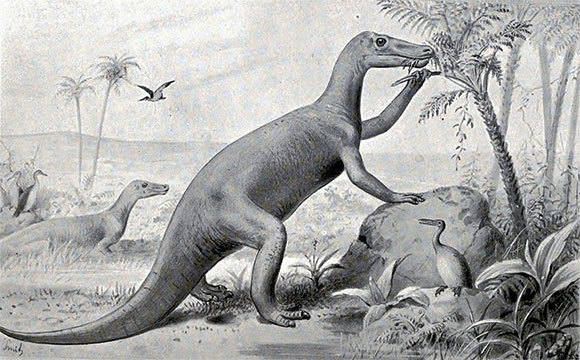 דינוזאור שציירה וודוורד | ויקיפדיה, Joseph Smit