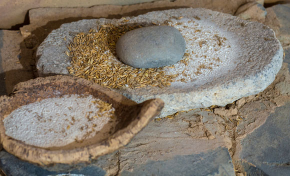 אבן לטחינת שעורה כפי שנעשה בתקופת האבן החדשה, ספרד | צילום: Juan Aunion, SPL