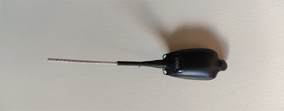 אחד המכשירים שהחוקרים הצמידו לעקעקים | צילום: Dominique Potvin, The Conversation