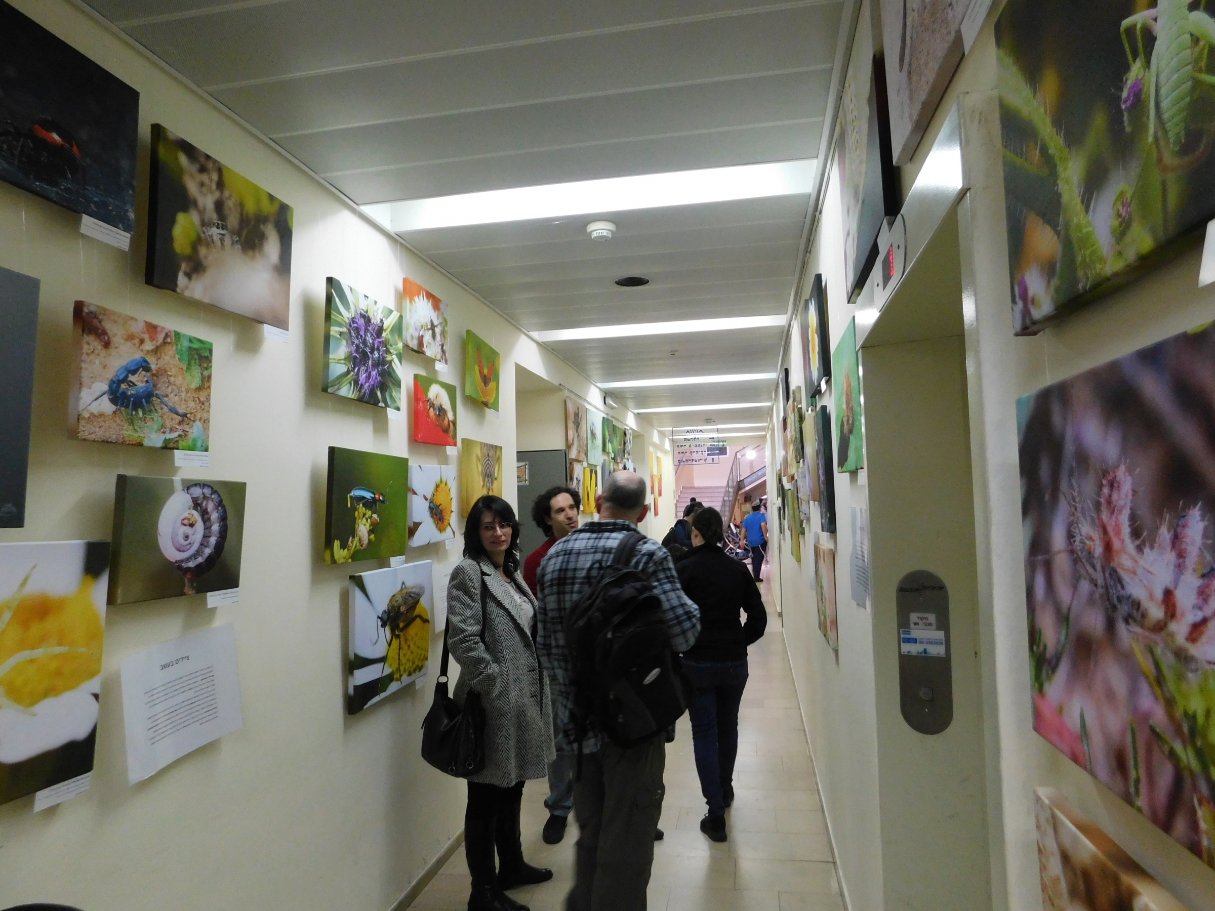 תיעוד שהפך לאמנות. התערוכה הפיזית ביום פתיחתה | צילום: איגור ארמיאץ'-שטיינפרס