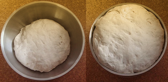 השמרים פולטים פחמן דו-חמצני, והבועיות שנוצרות גורמות לתפיחה. התפחת בצק | מקור: ElinorD, ויקיפדיה