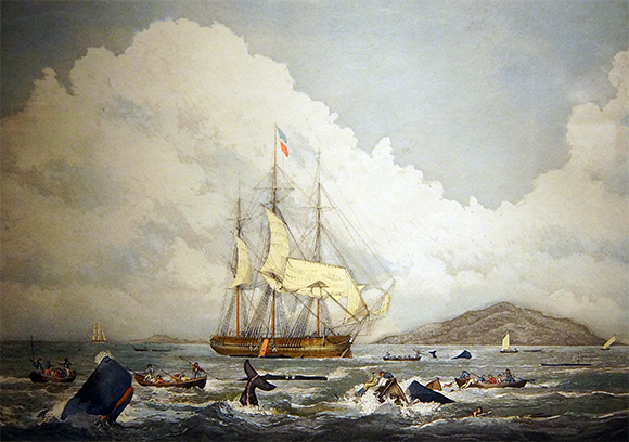 ציור מהמאה ה-19 של צייד לווייתנים ראשתן | Shutterstock, steve estvanik