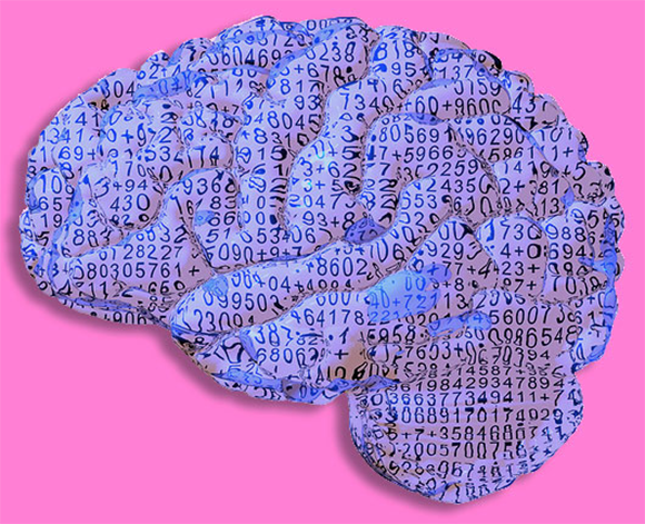 אילוסטרציה של מוח עם מספרים | Russell Kightley, Science Photo Library