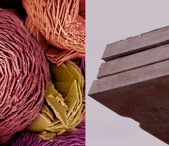 בטון, וצילום במיקרוסקופ אלקטרונים סורק של סידן פחמתי | SPL