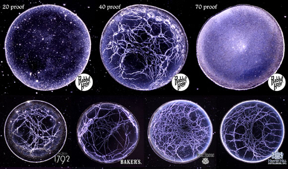 טביעת אצבע של סוגי ויסקי מסוימים | מתוך פוסטר המחקר שהוצג בכינוס האגודה האמריקאית לפיזיקה