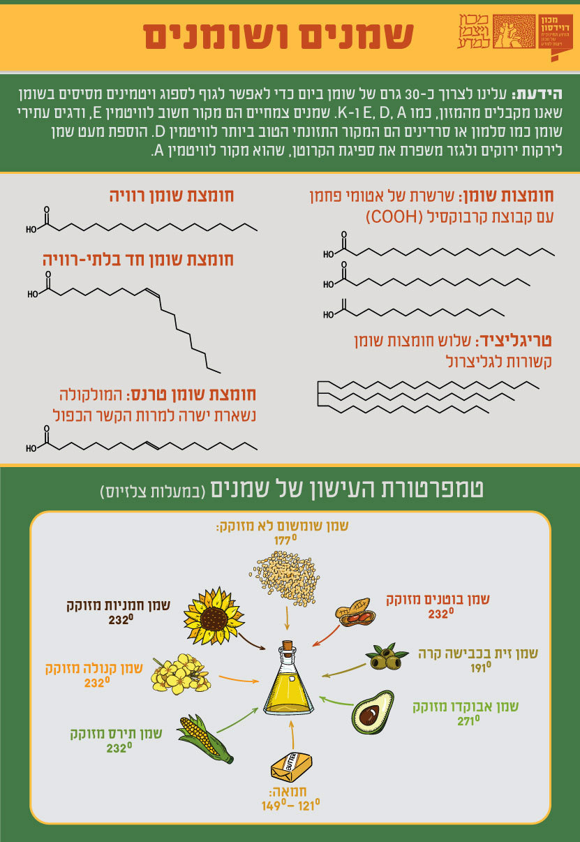 אינפוגרפיקה "שמנים ושומנים"