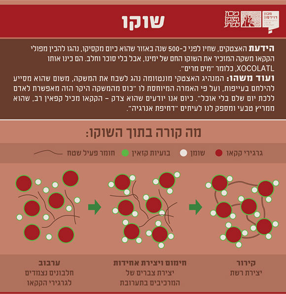 אינפוגרפיקה: מריה גורוחובסקי