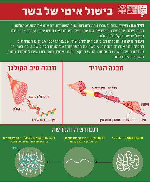 חמין עם תפו"א, קטניות, דגנים וביצים | hadasit, Shutterstock