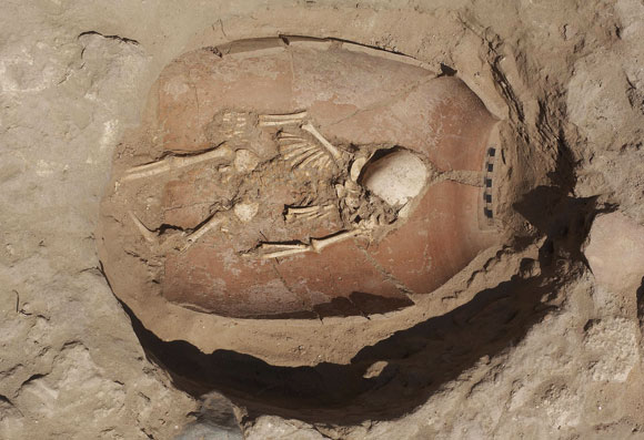 אירופיים או מקומיים? קבר של ילד שהתגלה בחפירות בתל אשקלון | צילום: אילן שטולמן, משלחת ליאון לוי לחפירות אשקלון