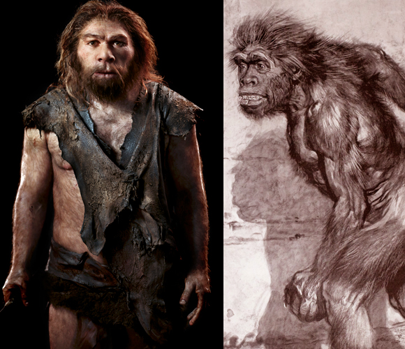 ניאנדרטל ממערת לה שאפל או סן, כפי שחשבו החוקרים שהוא נראה ב-1909 ובימינו. S. Entressangle / e. Daynes/ Paul D Stewart, Science Photo Library