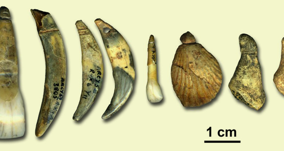 תכשיטים שיצרו ניאנדרטלים. צילום: Marian Vanhaeren