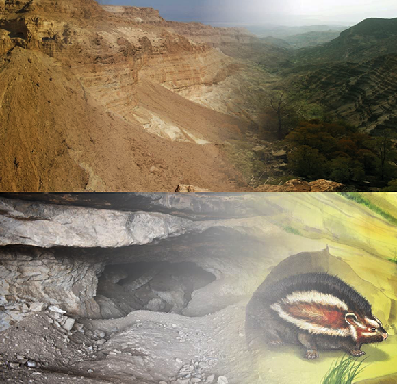 למעלה: האזור בו נמצאו העצמות ואילוסטרציה של המראה שלו לפני מאה אלף שנה. למטה: המערה, ולידה איור של החולדה | איור החולדה: איה מארק, עיצוב: ד"ר איגנסיו לזגבסטר