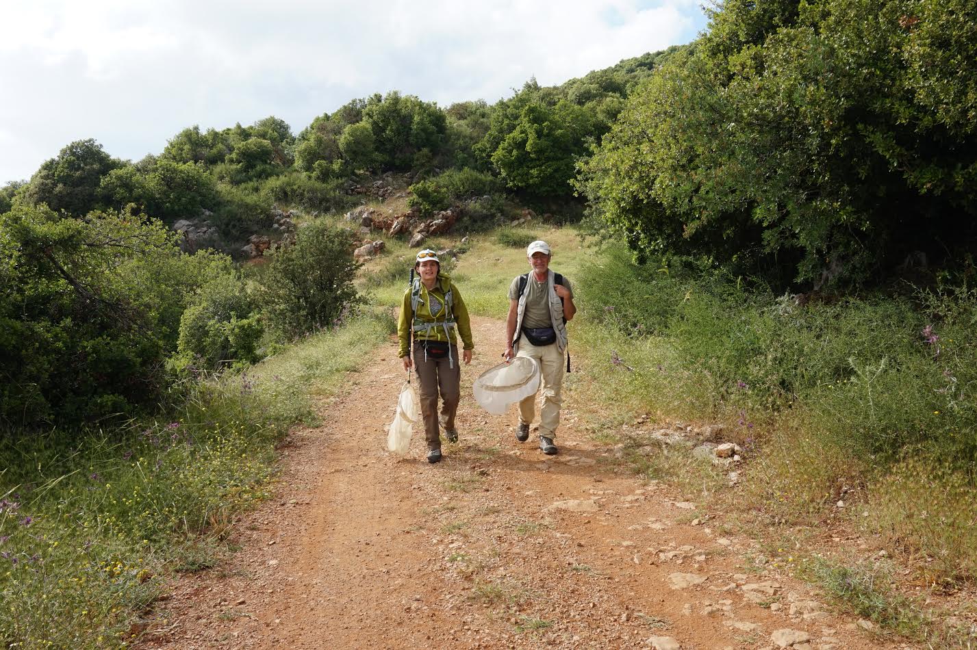 אוספים פרפרים. פרופ' לוחטנוב ונוביקובה בעת סיור לאיסוף חרקים בחרמון, ליד נווה אטי"ב | צילום: ילנה פז'נקובה