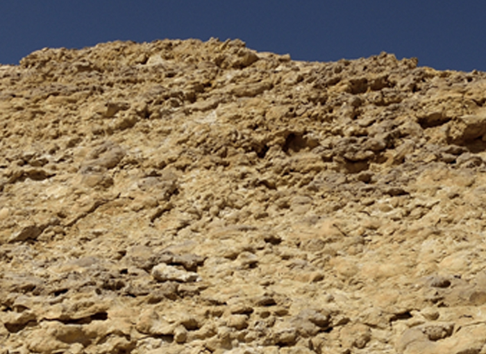 פים זו הייתה קרקעית ים אופקית, היום זה אחד הקירות האנכיים של מכתש רמון. קיר האמוניטים | צילום: Shutterstock