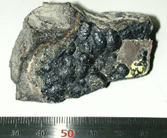 הגביש הזעיר הזה של אורניניט מכיל ברגע נתון הרבה הרבה פחות מטריליונית הגרם של פרנציום | מקור: ויקיפדיה, Joachimsthal