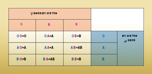 הורשת סוגי דם מהאב והאם. בשחור: סוג הדם של הילד
