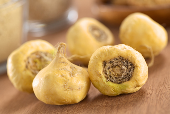 חסידיו מתלהבים מהשיפור בתפקוד המיני, המדע - קצת פחות נלהב. שורשי צמח המאקה | צילום: Shutterstock