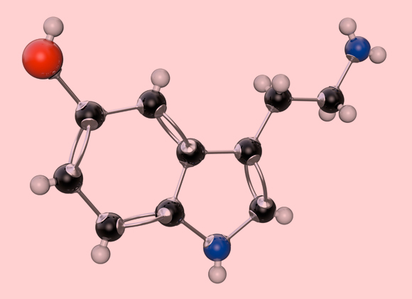 אטומי הפחמן (כדורים שחורים) הם השלד של המולקולות האורגניות, למשל המוליך העצבי סרוטונין | איור: Scinece Photo Library