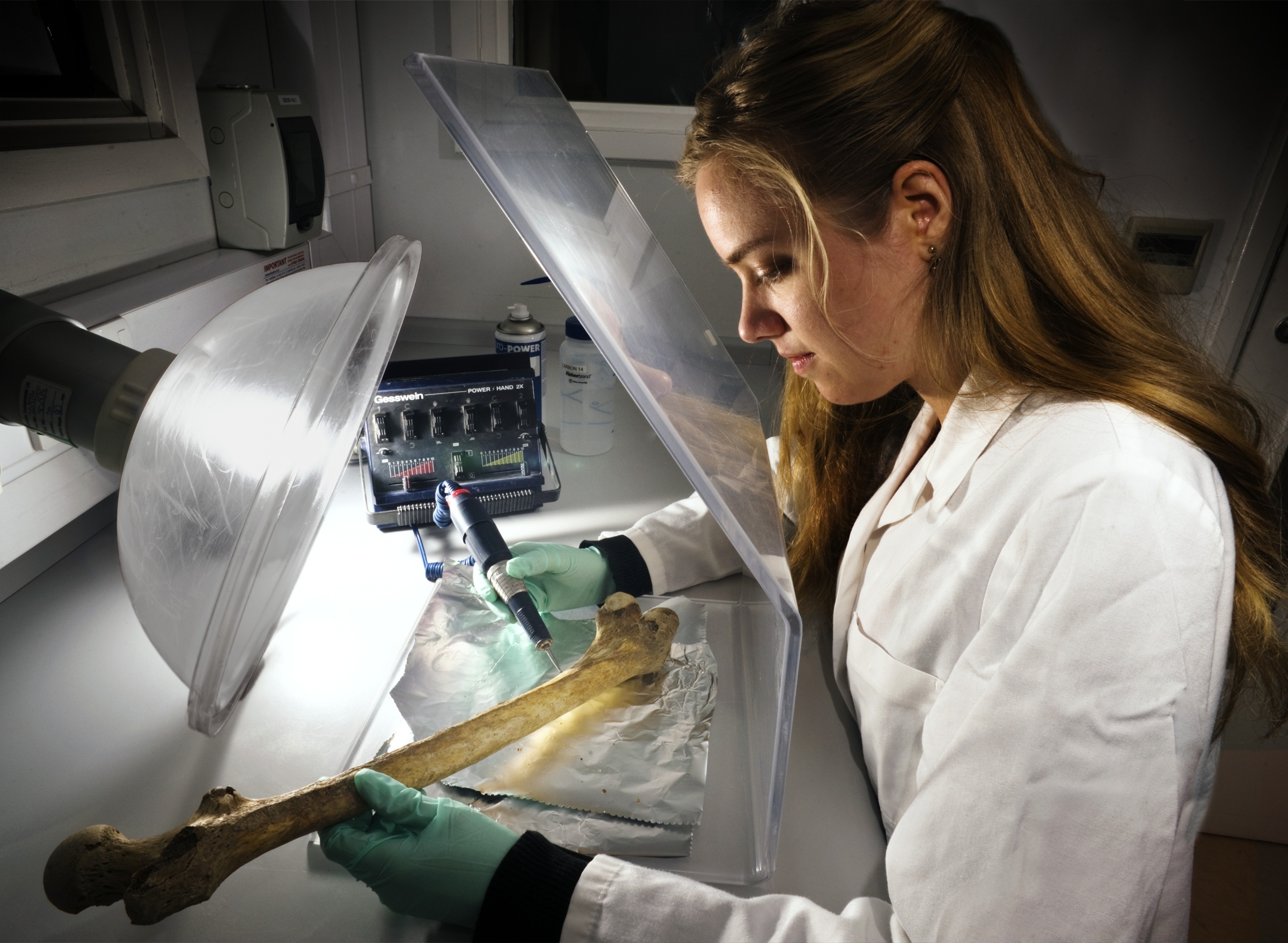 שיטה מצוינת לקביעת הגיל של חומרים ביולוגיים - תארוך בעזרת ריכוז פחמן-14 | צילום: Science Photo Library