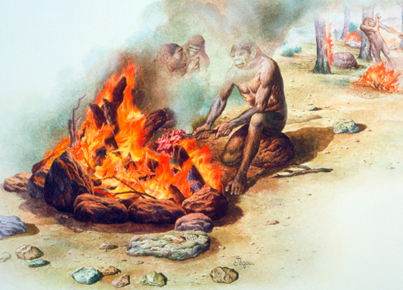 הומו ארקטוס צולים בשר באש | Science Photo Library