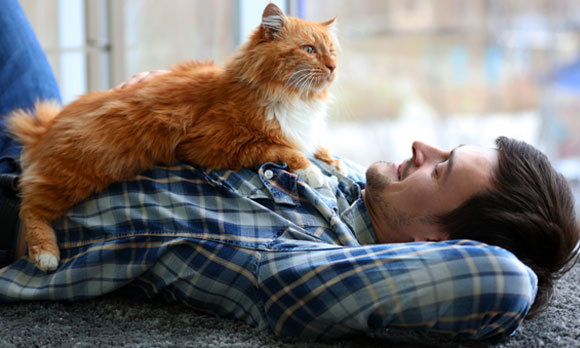 חתול ובעליו | Shutterstock