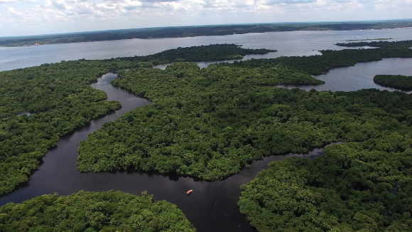 היער מאזן את האקלים, שומר על הקרקע, מייצר ענני גשם ותומך במגוון ביולוגי. אגן האמזונס | צילום: Shutterstock