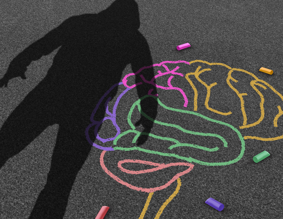 אזורים שונים במוח | תמונה: Shutterstock