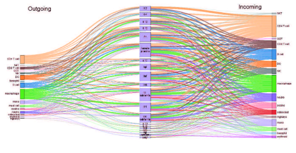 רבבות קשרים בין תאים, ציטוקינים ומחלות הסתתרו בתוך מיליוני מאמרים מדעיים. מפת הקשרים שבנו החוקרים | מקור: הטכניון