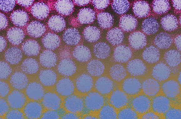 נגיפי הפטיטיס B. גורמים לכ-890 אלף מקרי מוות בשנה | Science Photo Library