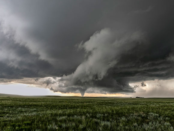 טורנדו רגיל