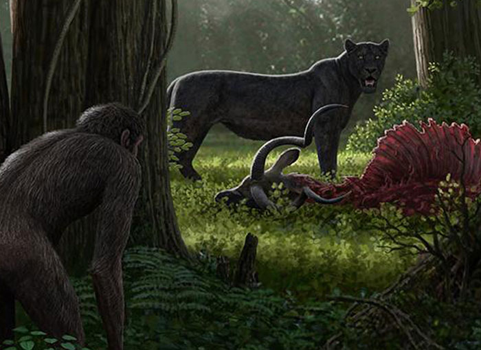 תחרות על משאבים. אדם קדום וחתול שֵנְחָרְבִּי (Dinofelis) ליד פגר של אנטילופה | איור: Mauricio Antón