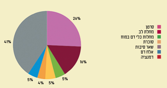 מה הורג את הבנים? גורמי התמותה של זכרים בישראל ב-2016, באחוזים מתוך כלל מקרי המוות | מקור: משרד הבריאות