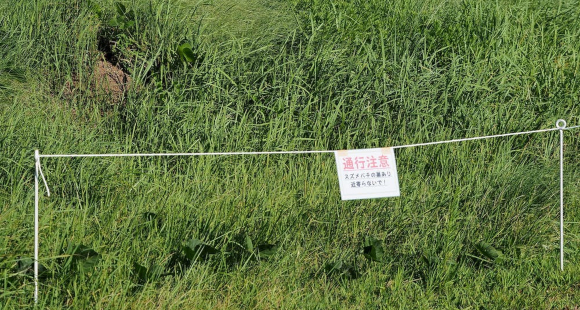 לא כדאי להתקרב. גידור ושלט אזהרה ליד קן של הצרעות סמוך לעיר ריטו ביפן | צילום: Greg Peterson/Flickr