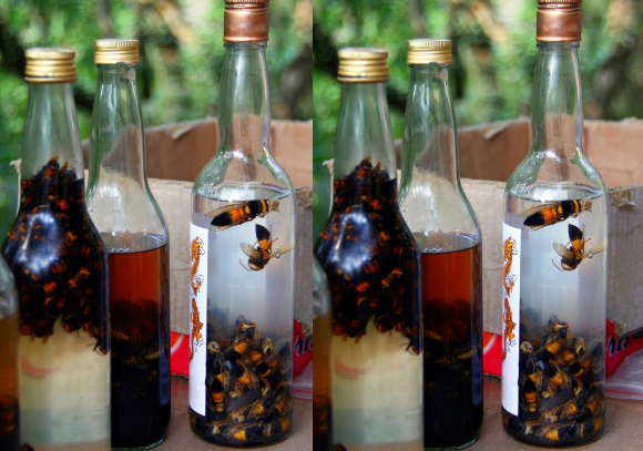 טעם ייחודי. שלבים שונים בהכנת משקה הצרעות | צילום: Katoosha, Shutterstock